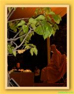 dang-ngoi-thieng-lieng-1-
