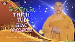 tt-tue-giac