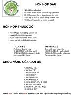 10-hon-hop-dau-gan-mat-mg-fe