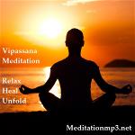 vipassana-thien1
