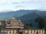 buddha-s-hospital
