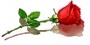 to-my-mom-2
