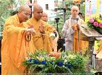 tv-huong-dai-bi-44-