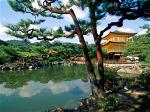 a-japan-buddhist-temple