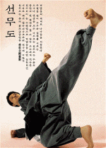 vo-su-han-quoc