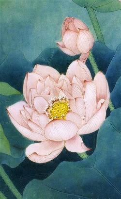 lotus_6