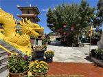 xuan-quy-mao-2023-58-