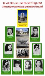 di-anh-thanh-tu-dao-dai-pt-hue