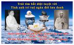 trai-tim-bo-tat-quang-duc