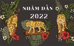 nam-dan-noi-chuyen-con-cop