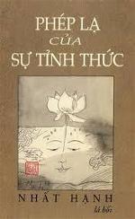phep-la-cua-su-tinh-thuc