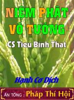 niemphatvotuong-hanhco