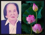 cu-ba-phan-thi-chac