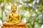 buddha-701