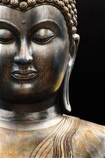 buddha-502