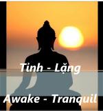 nhac-pham-tinh-lang-bs-tam-duc