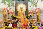 le-tat-nien-canh-ty-63-