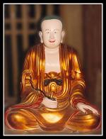 to-su-vo-ngon-thong