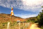 vieng-chua-vinh-huu-1-