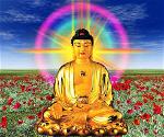 buddha-63
