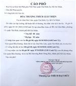 cao-pho-tang-le-ht-thich-giai-thien2