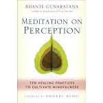 meditation-on-perception