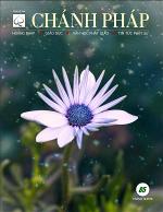 chanh-phap-so-85-thang-12