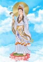 nhung-hinh-anh-dep-ve-quan-the-am-bo-tac-9