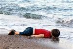 aylan-2