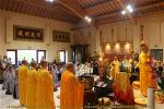 cung-ngo-44-