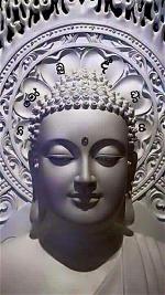 buddha-525