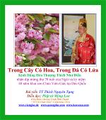 trong-cay-co-hoa-trong-da-co-lua-3