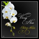 vong-hoa-tuong-niem-hinh-minh-hoa-