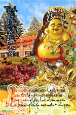 thich-tu-duc-xuan-dinh-dau-2017