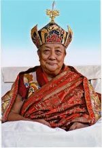dilgokhyentserinpoche-2