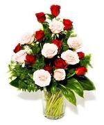 red-rose-107