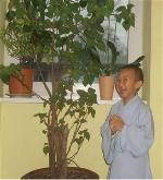 duong-ve-tinh-do