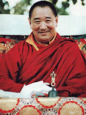 Tarthang Turku Rinpoche