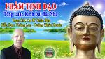 25-pha-m-tinh-dao