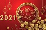 xuan-tan-suu-2021-4