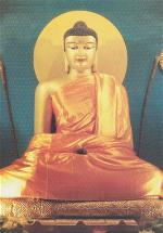 phat-thanh-dao-11