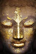 buddha-428