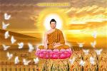 phat-thanh-dao