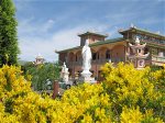 quangduc-toancanh-2