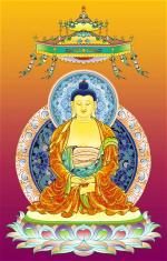 duocsuluulyquangphat-1