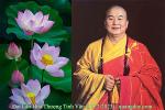 ht-tinh-van-2