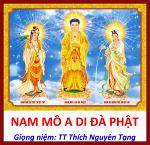 nam-mo-a-di-da-phat-thich-nguyen-tang