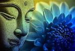 buddha-lotus-7