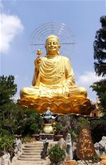 niem-hoa-vi-tieu