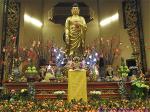 tet-chua-vien-giac-2019-1-